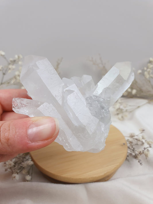 Bergkristall Stufe (2)