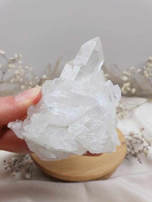 Bergkristall Stufe (3)