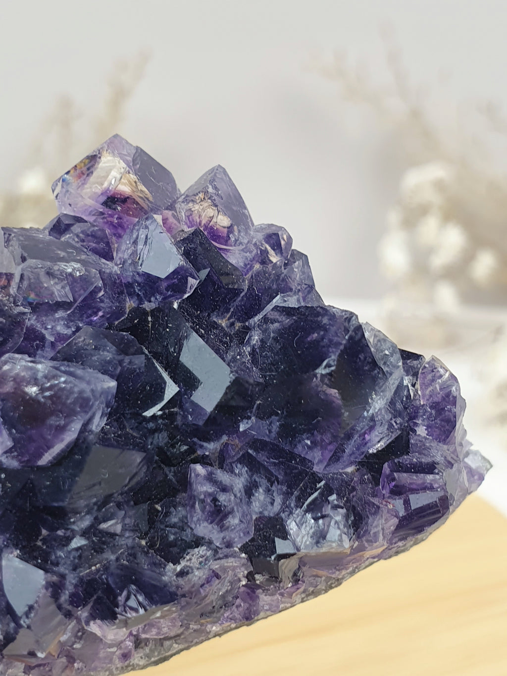 Amethyst Cluster (2)
