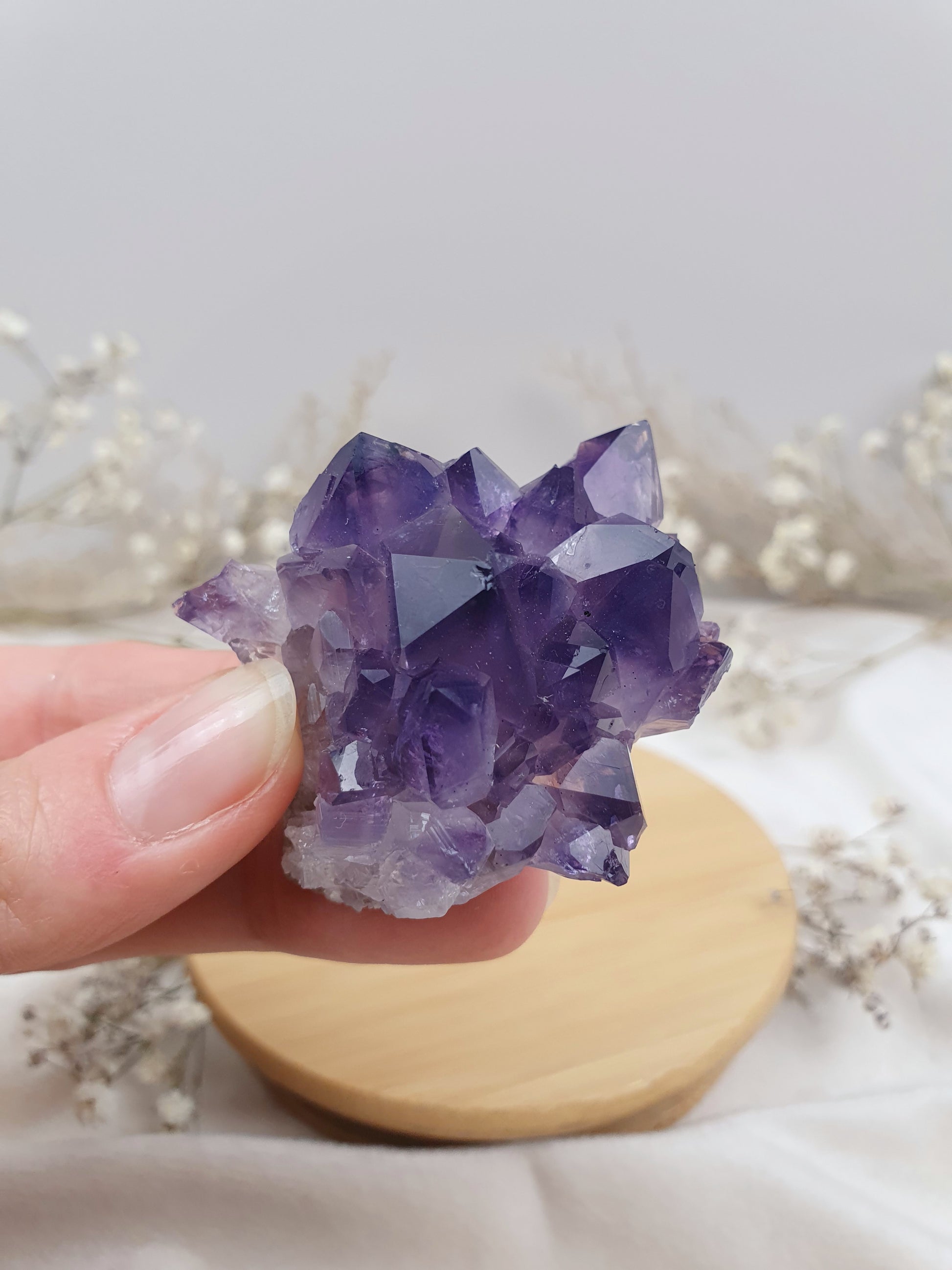 Amethyst Cluster (4)