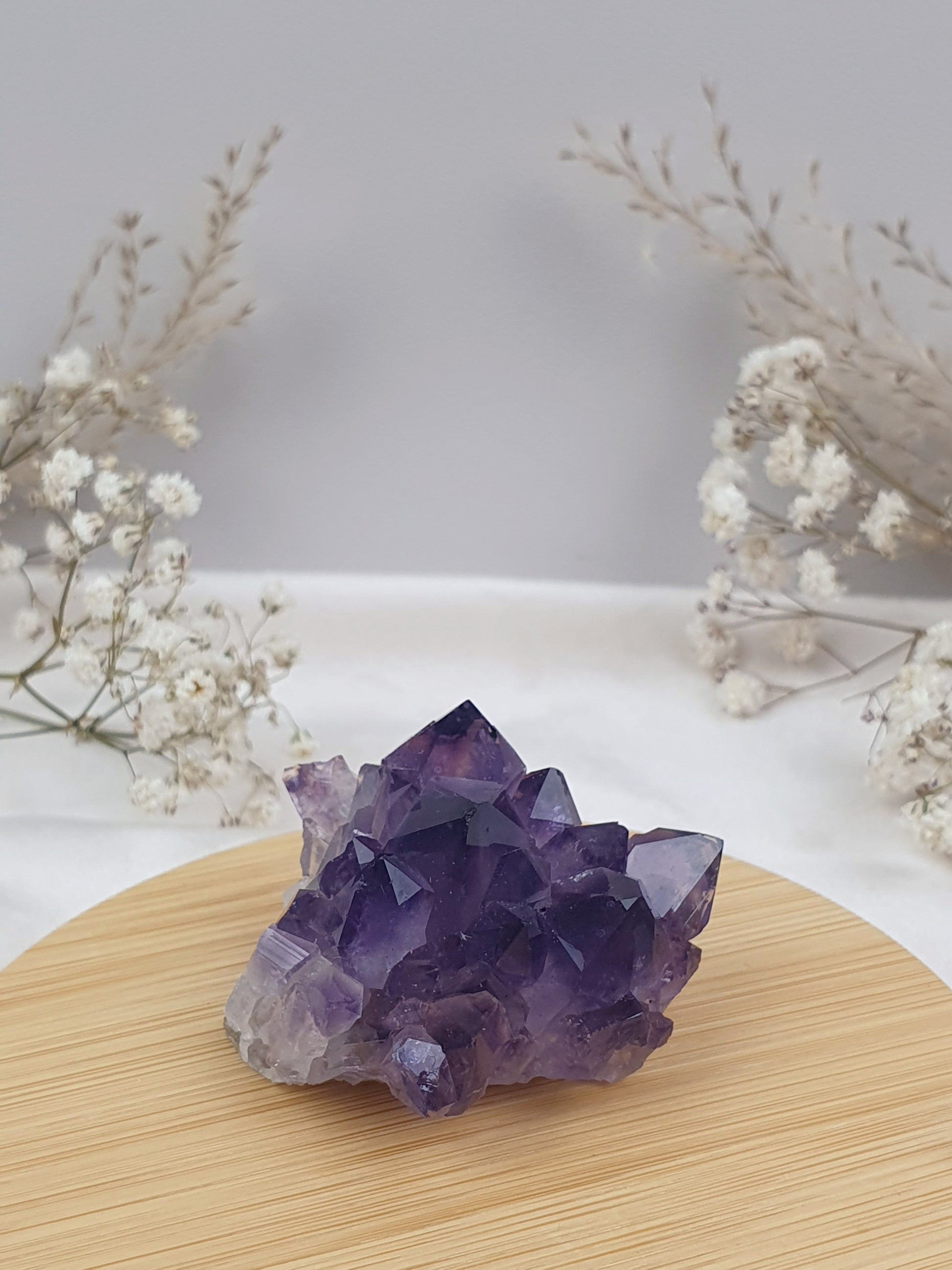 Amethyst Cluster (4)