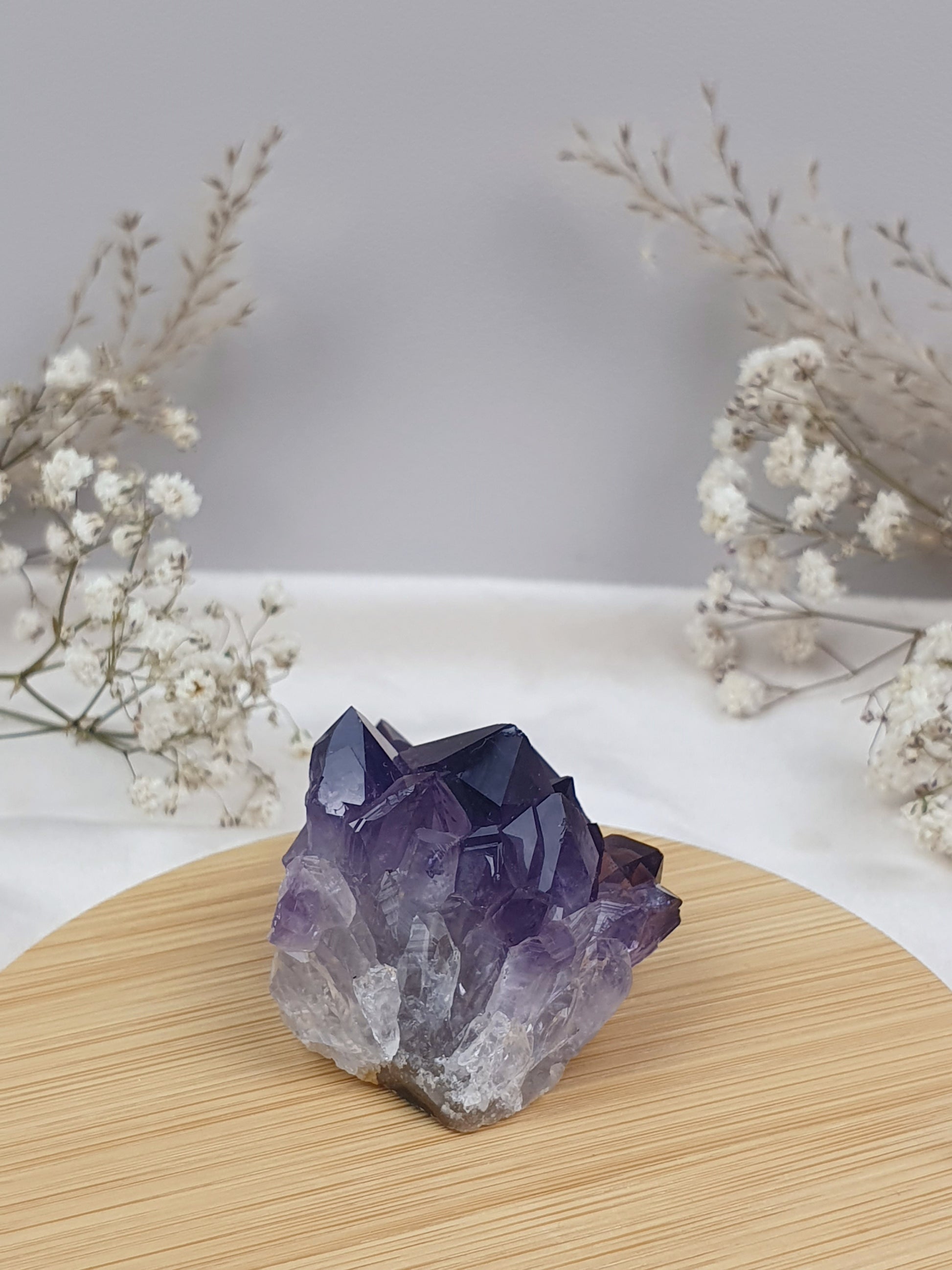 Amethyst Cluster (4)