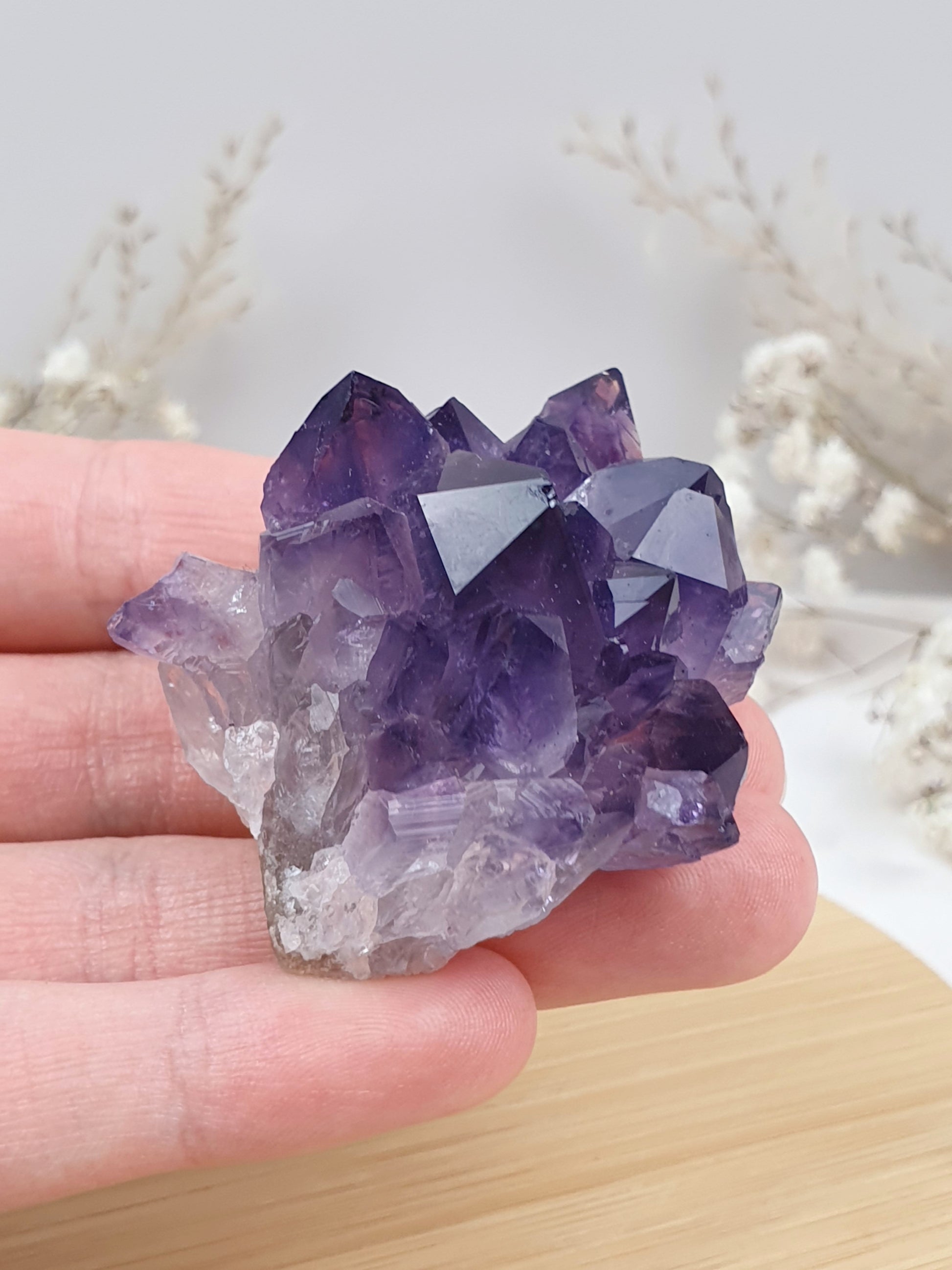 Amethyst Cluster (4)