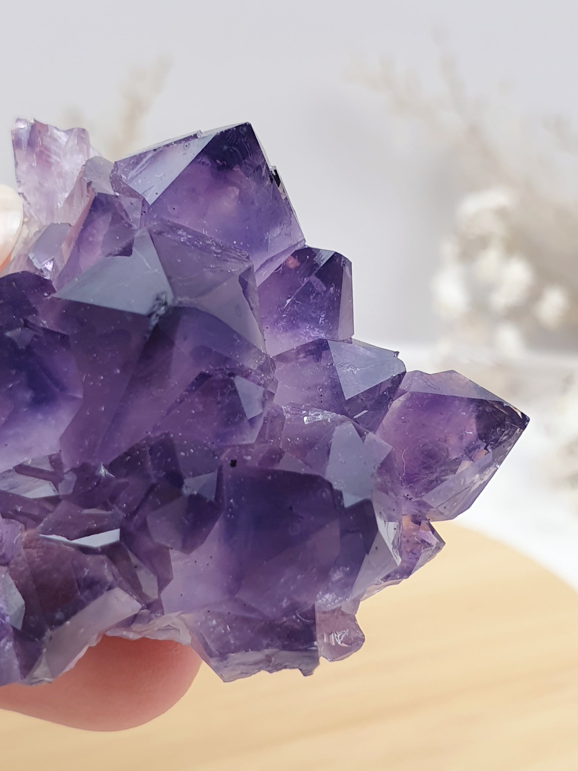 Amethyst Cluster (4)