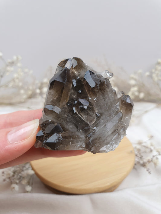 Rauchquarz Stufe (1)