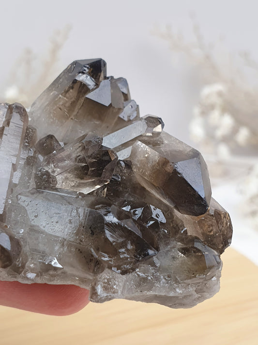 Rauchquarz Stufe (1)