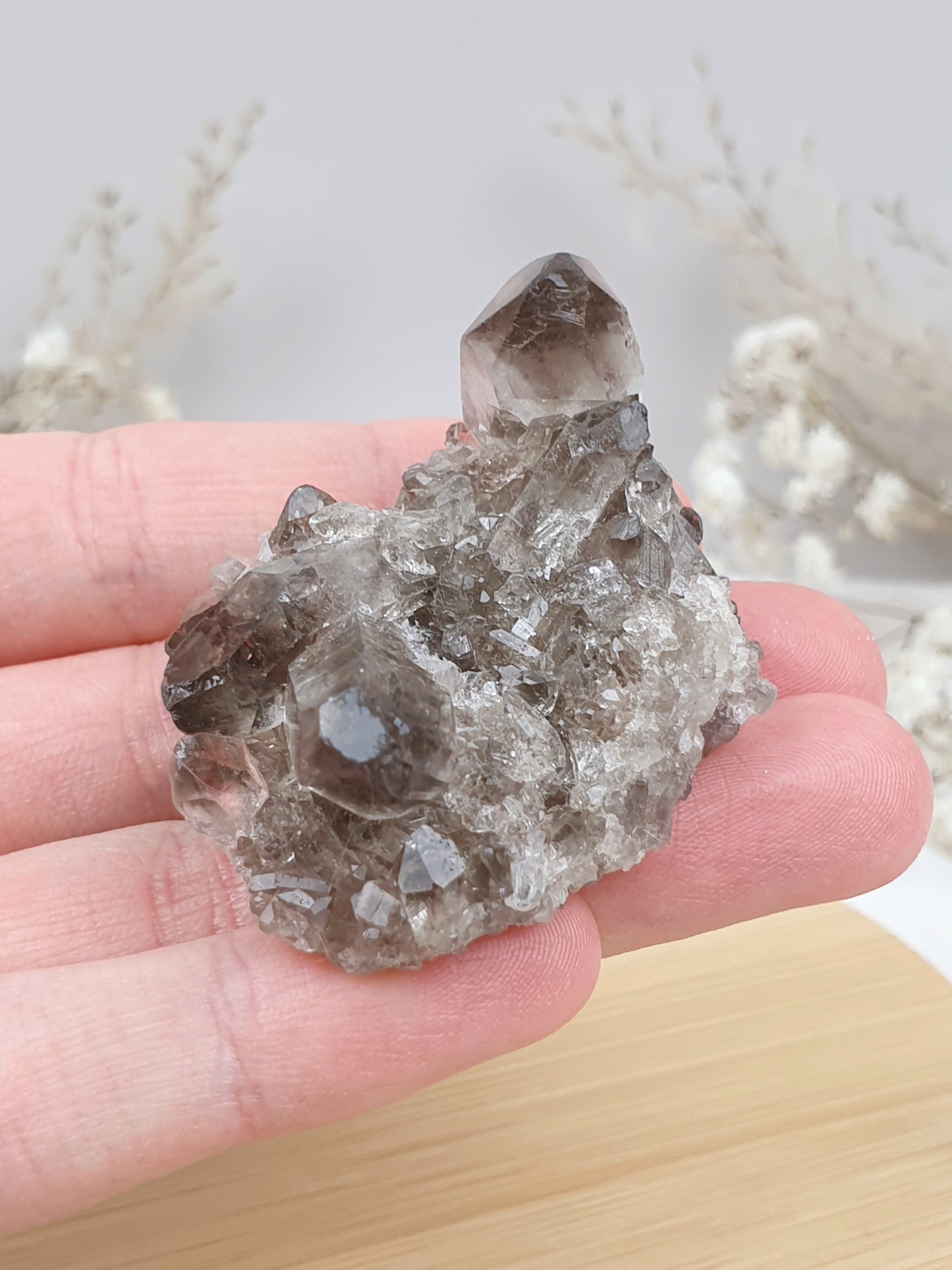 Rauchquarz Stufe (3)