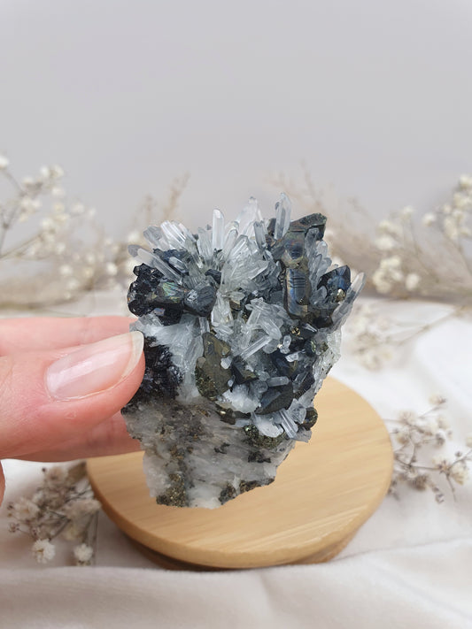 Quarz mit Pyrit Cluster (1)