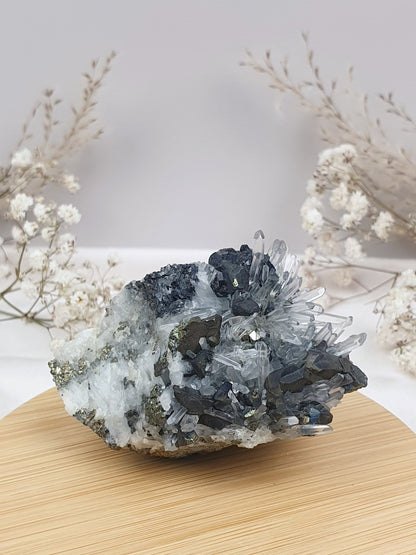Quarz mit Pyrit Cluster (1)
