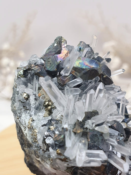 Quarz mit Pyrit Cluster (1)