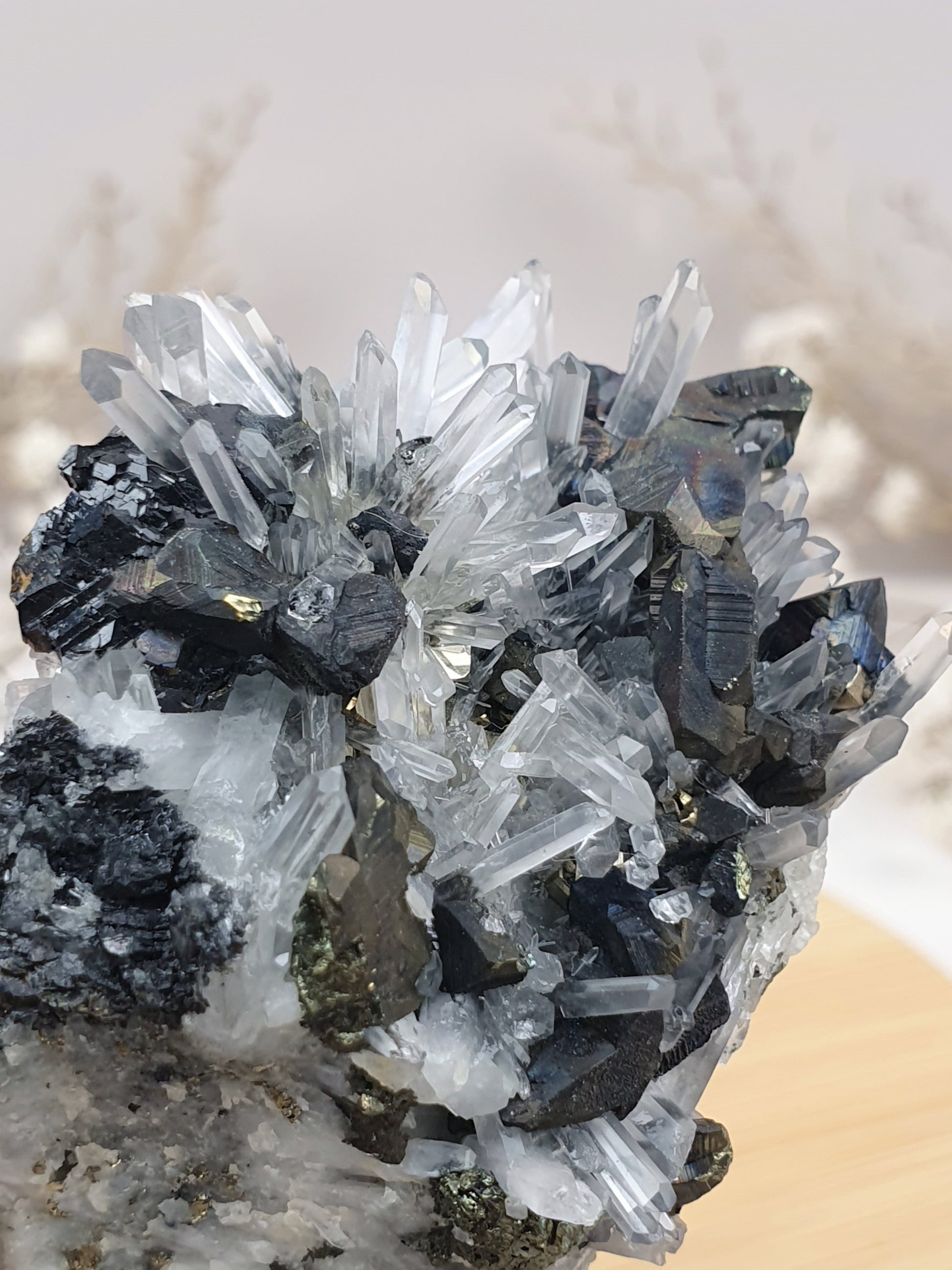 Quarz mit Pyrit Cluster (1)