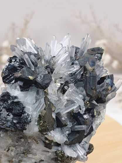 Quarz mit Pyrit Cluster (1)