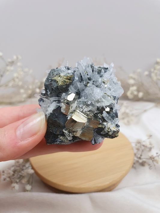 Quarz mit Pyrit Cluster (2)