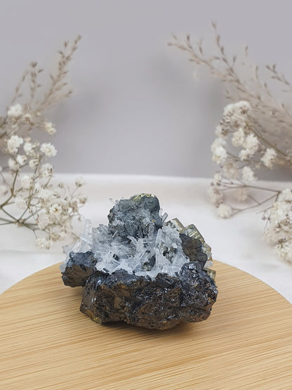 Quarz mit Pyrit Cluster (2)