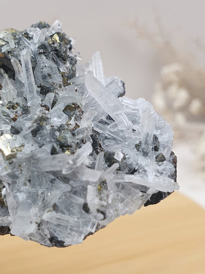 Quarz mit Pyrit Cluster (2)