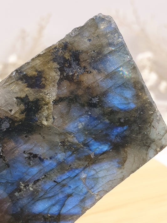 Labradorit Anschliff (2)