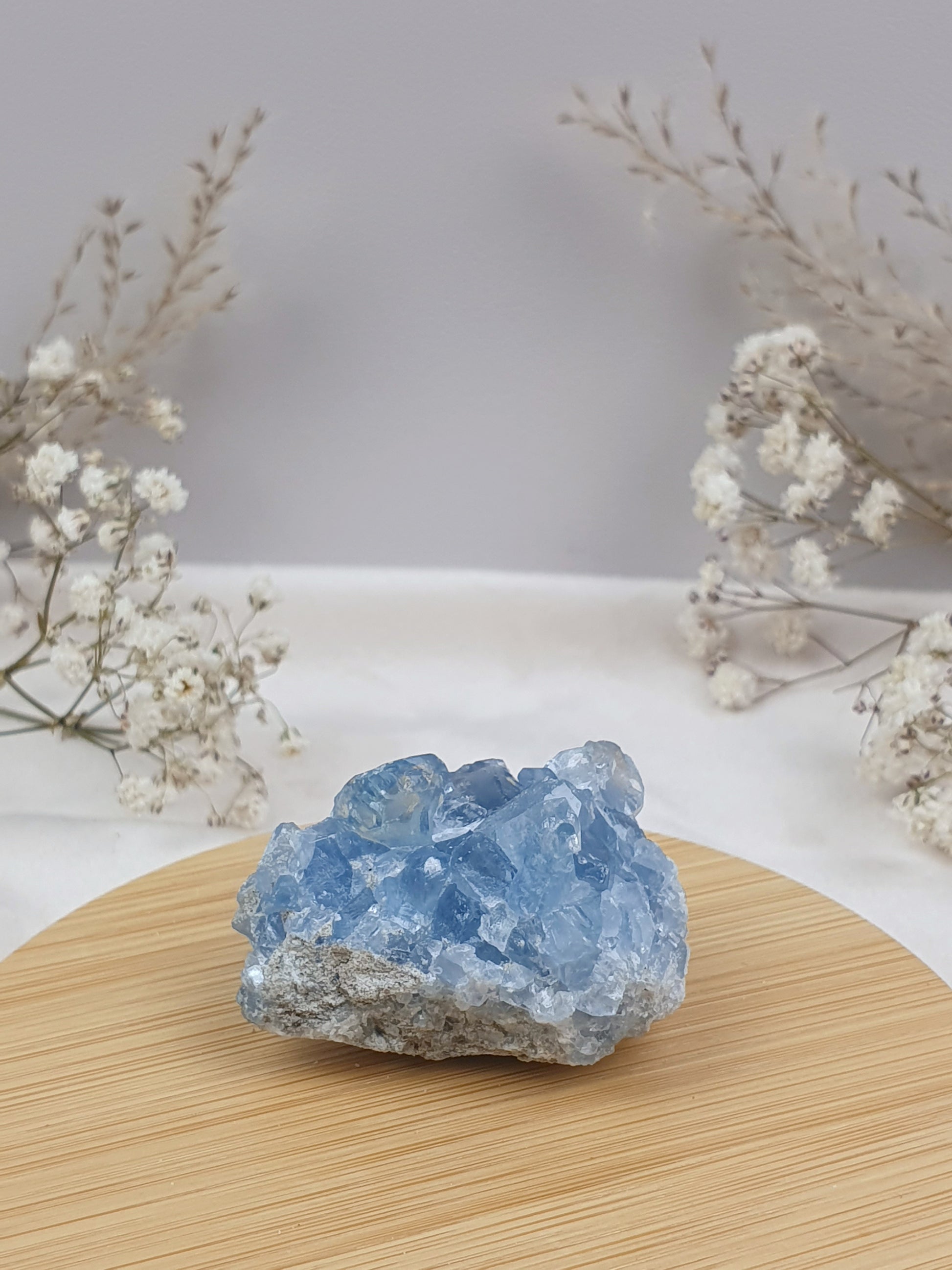 Coelestin Cluster (2)