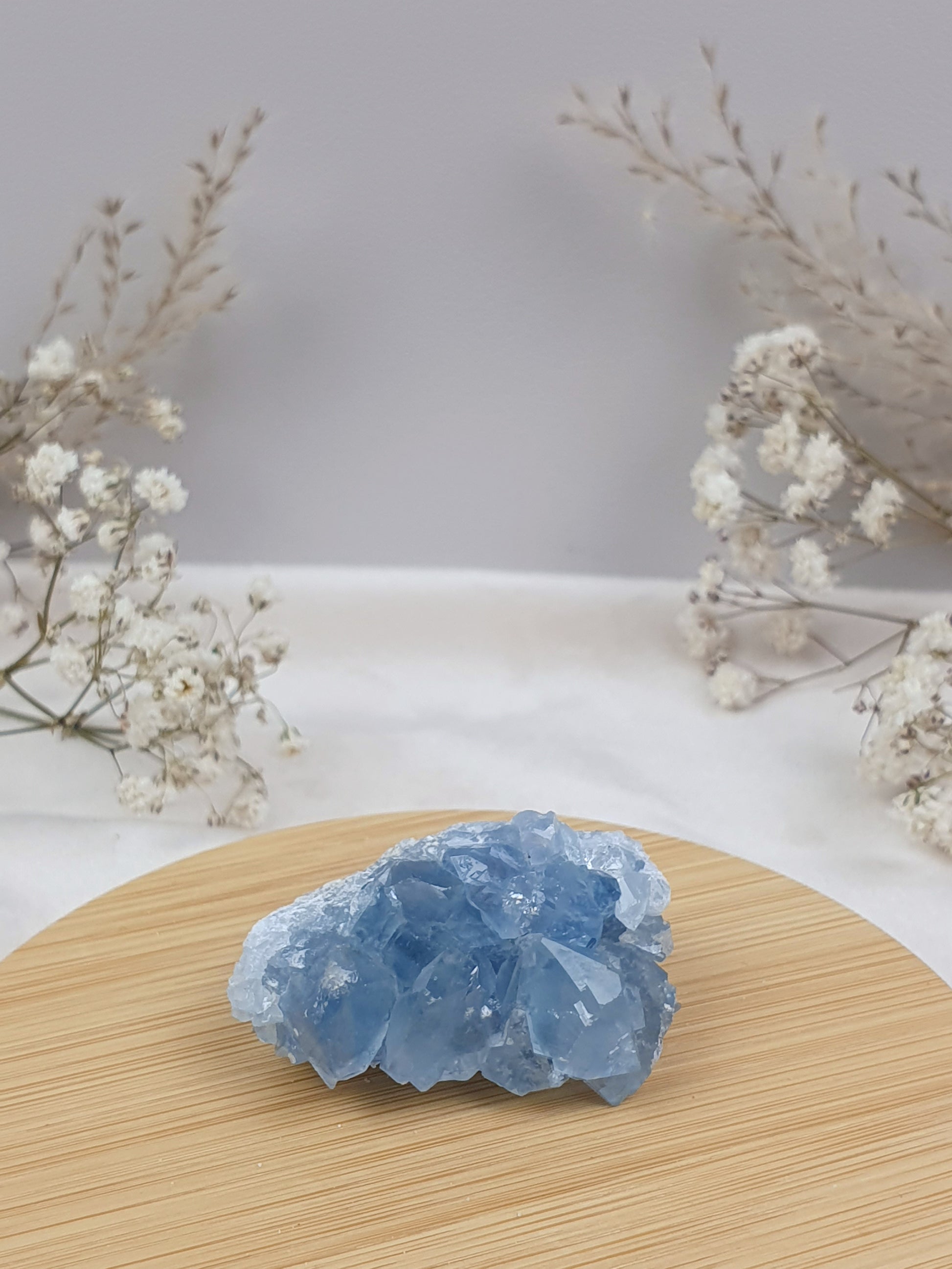 Coelestin Cluster (3)
