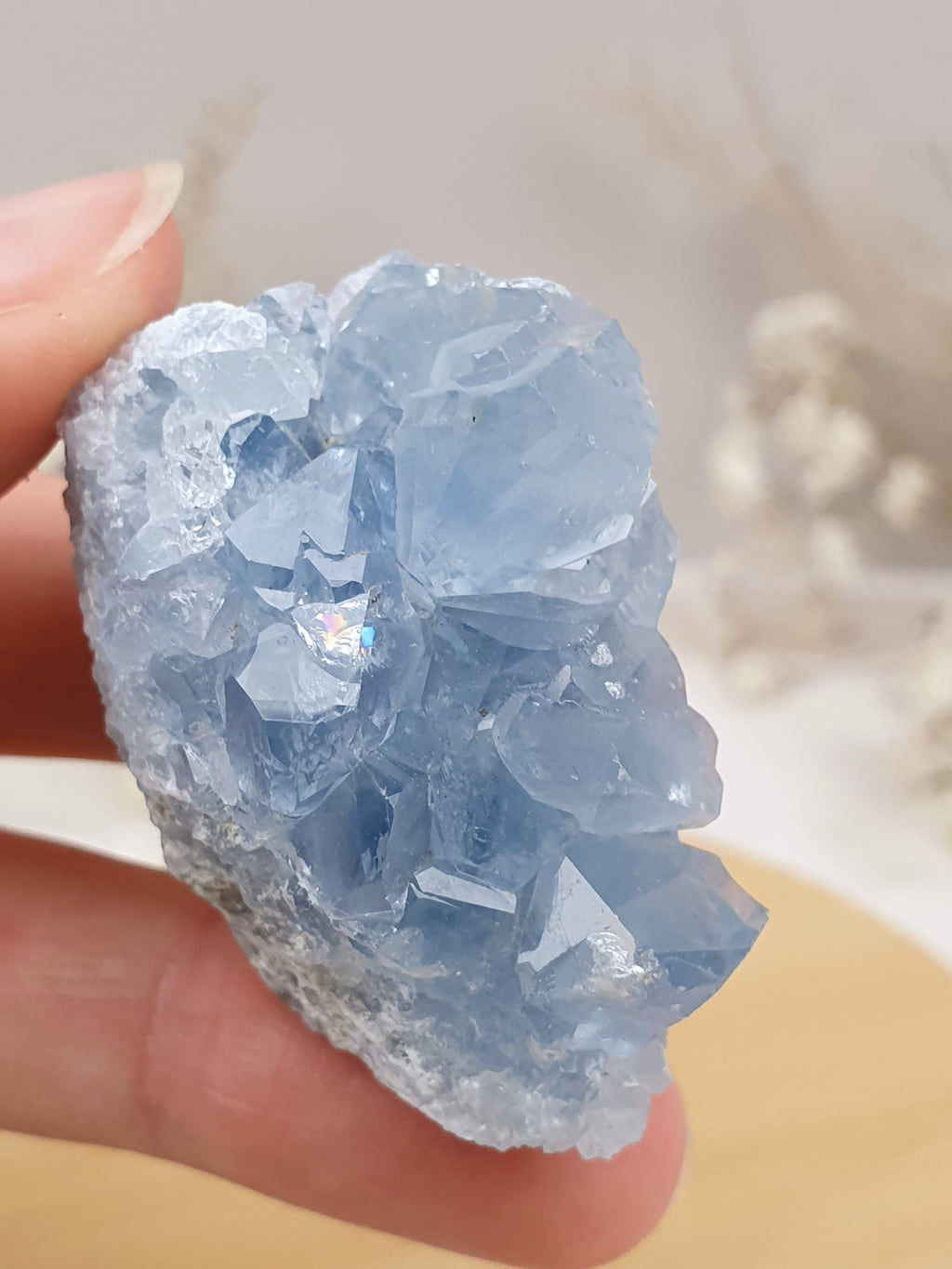 Coelestin Cluster (3)