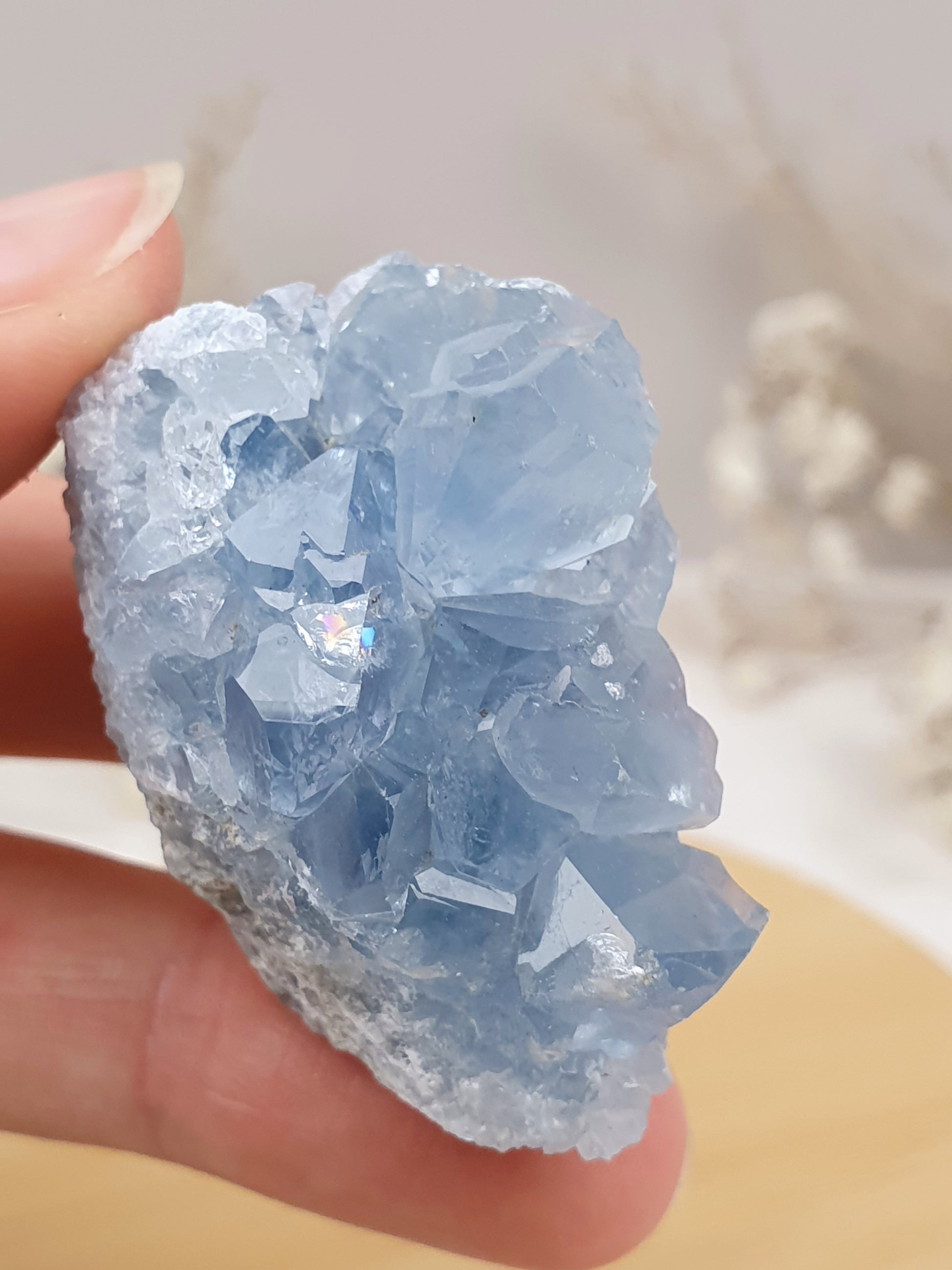Coelestin Cluster (3)