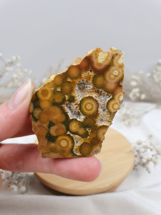 Ozeanjaspis Anschliff (4)