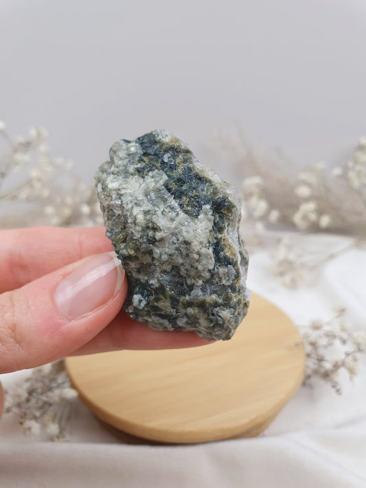 Ozeanjaspis Anschliff (6)