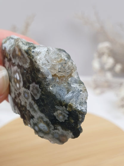 Ozeanjaspis Anschliff (6)