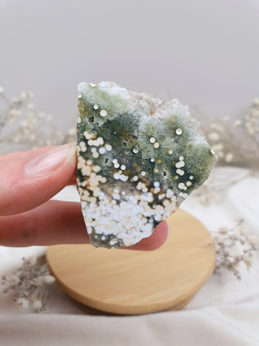 Ozeanjaspis Anschliff (3)