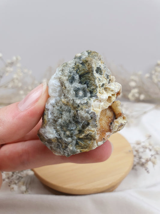 Ozeanjaspis Anschliff (1)