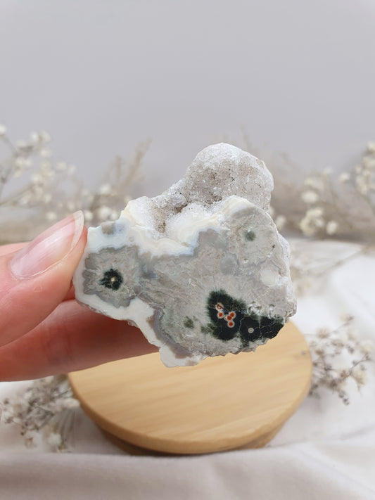 Ozeanjaspis Anschliff (5)