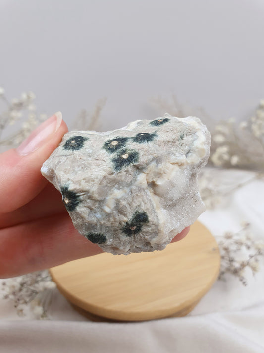 Ozeanjaspis Anschliff (5)