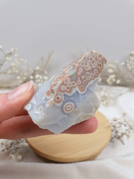 Ozeanjaspis Anschliff (2)