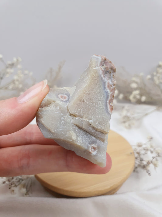 Ozeanjaspis Anschliff (2)