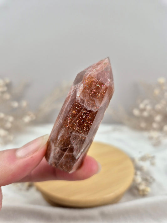 Sonnenstein Turm (1)