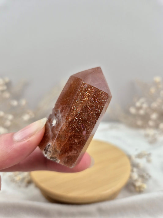 Sonnenstein Turm (2)