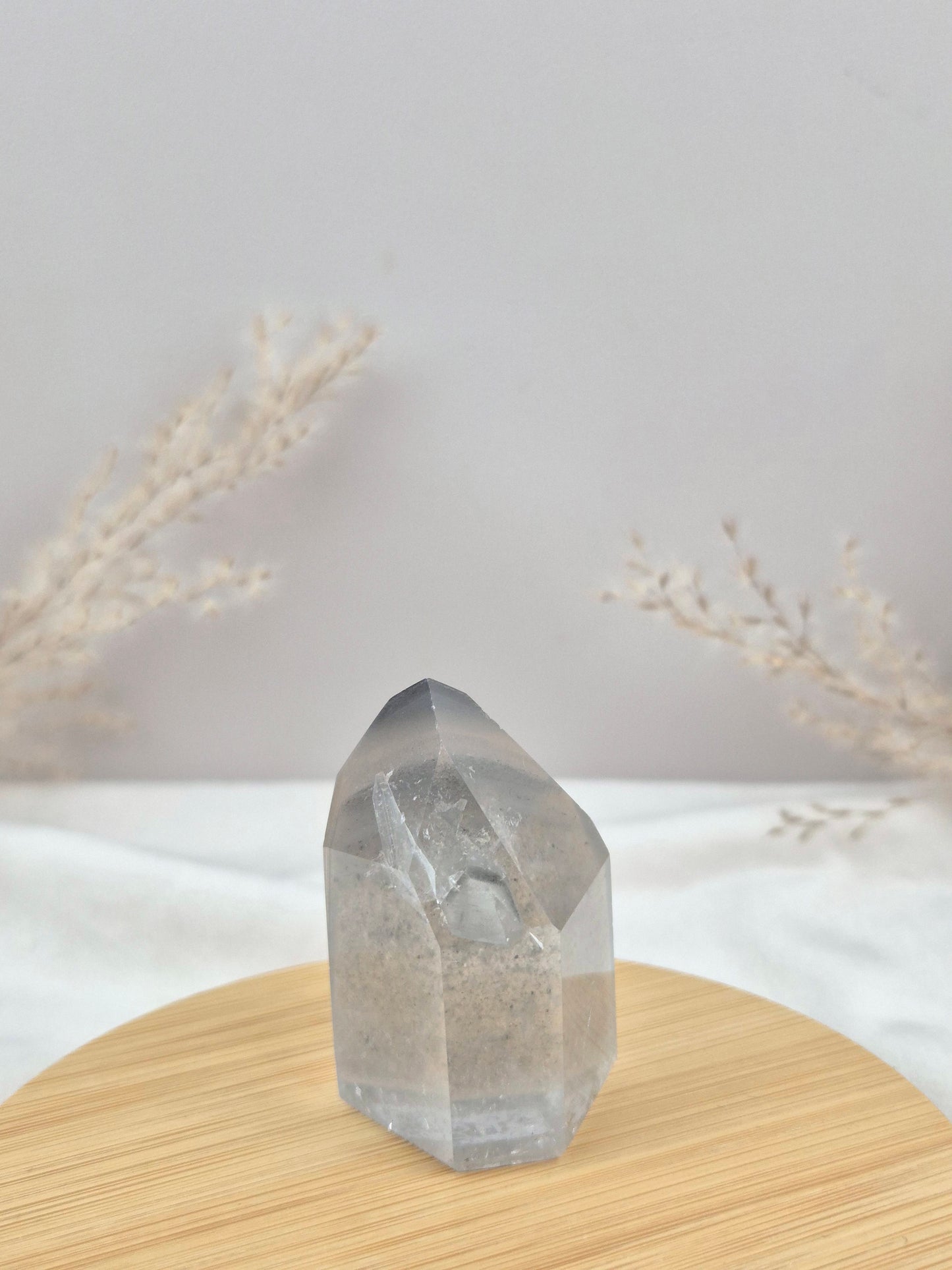 Phantomquarz Spitze (3)