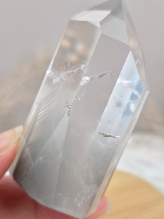 Phantomquarz Spitze (7)
