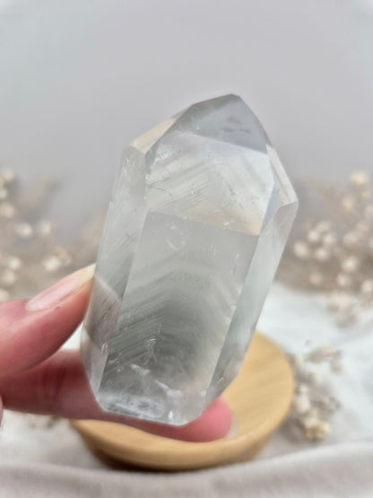 Phantomquarz Spitze (8)