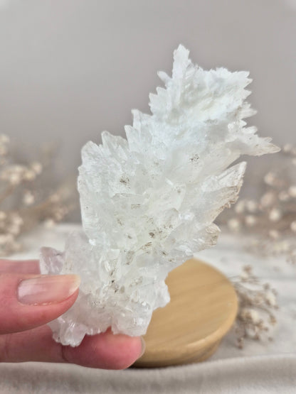 Weißer Aragonit Cluster (2)