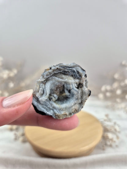 Chalcedon Rose (1)