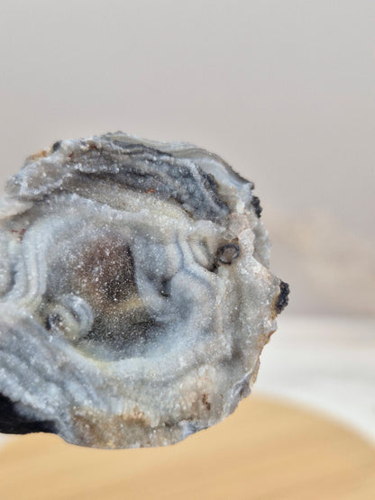 Chalcedon Rose (1)