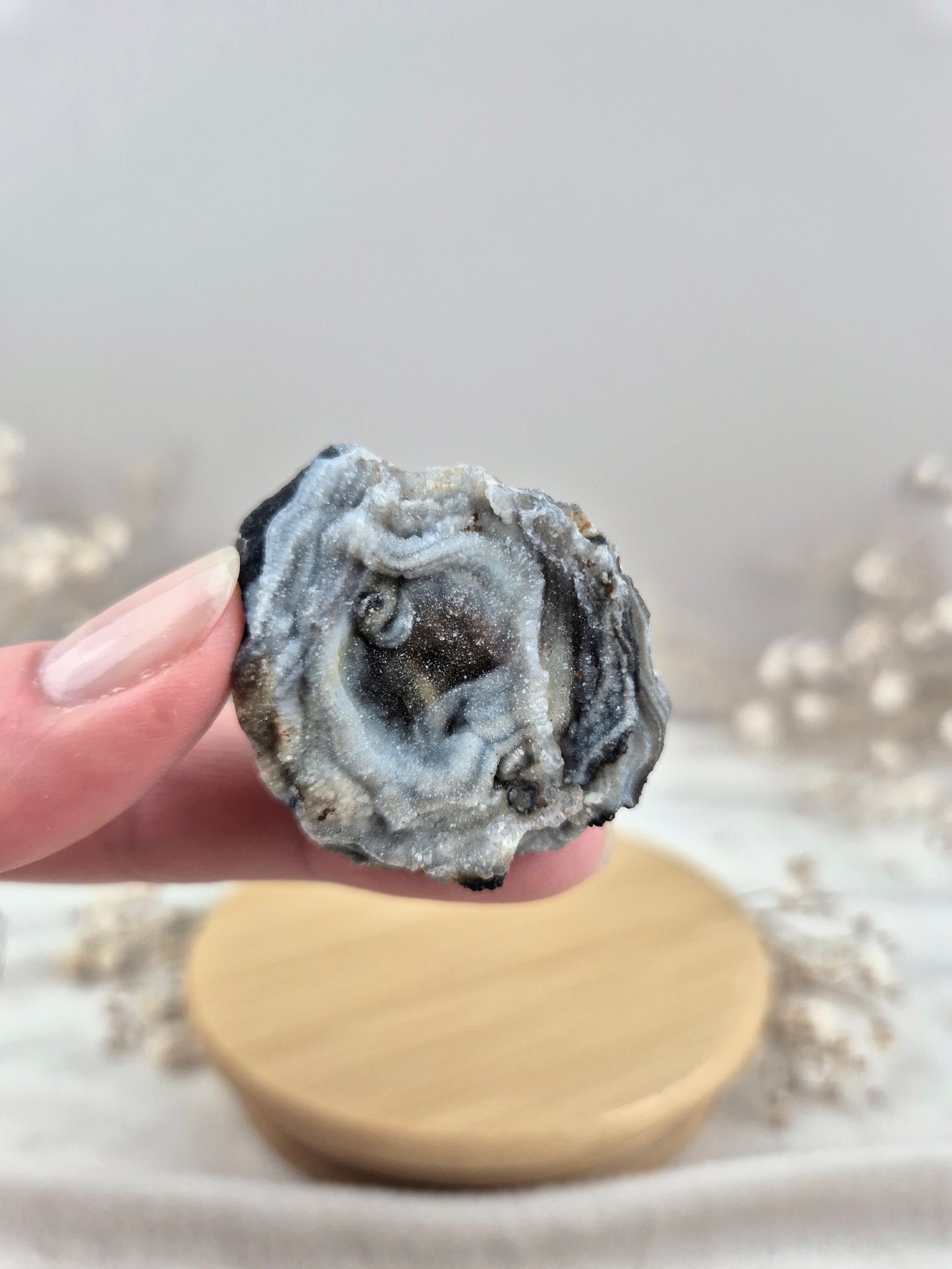 Chalcedon Rose (1)