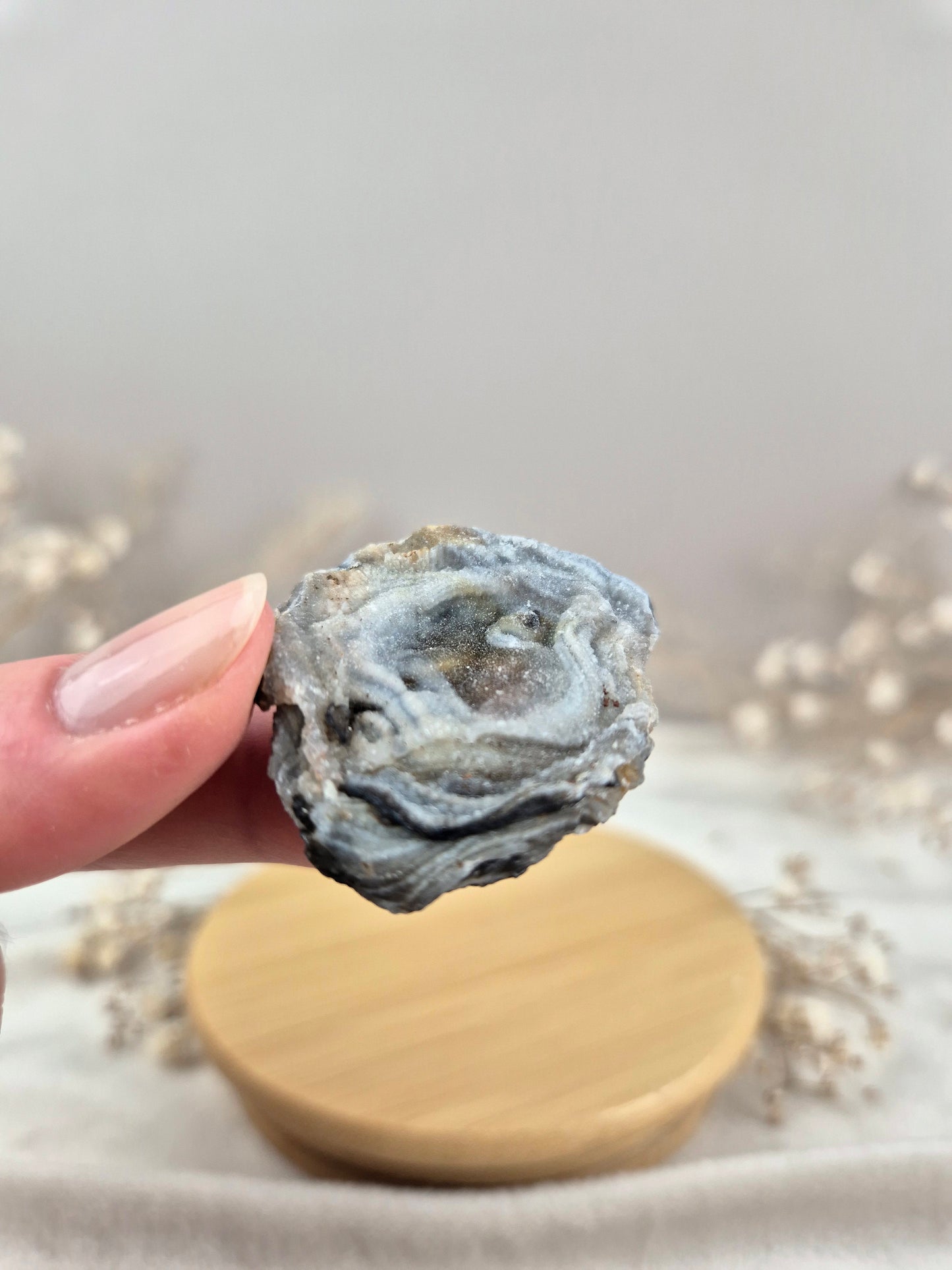 Chalcedon Rose (1)
