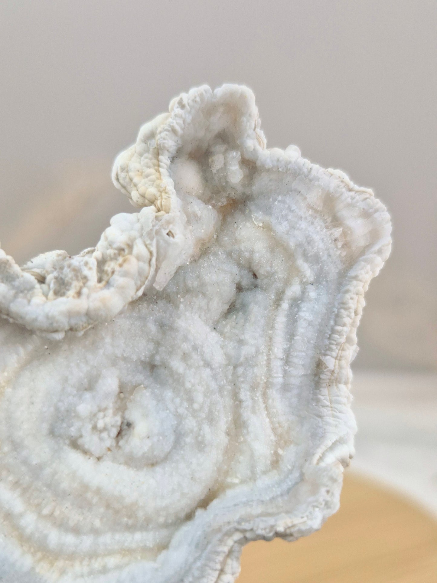 Chalcedon Rose (2)