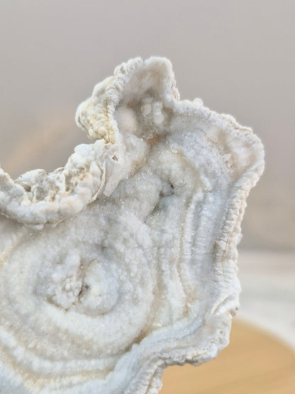 Chalcedon Rose (2)