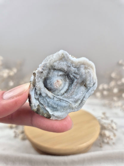 Chalcedon Rose (3)