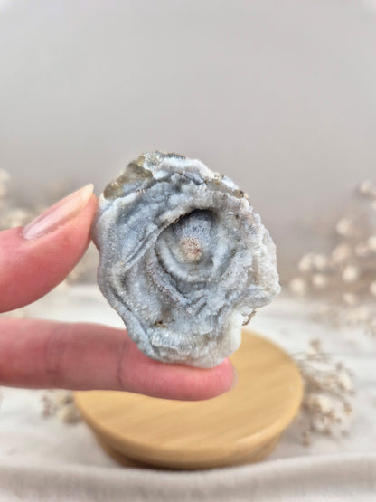 Chalcedon Rose (3)