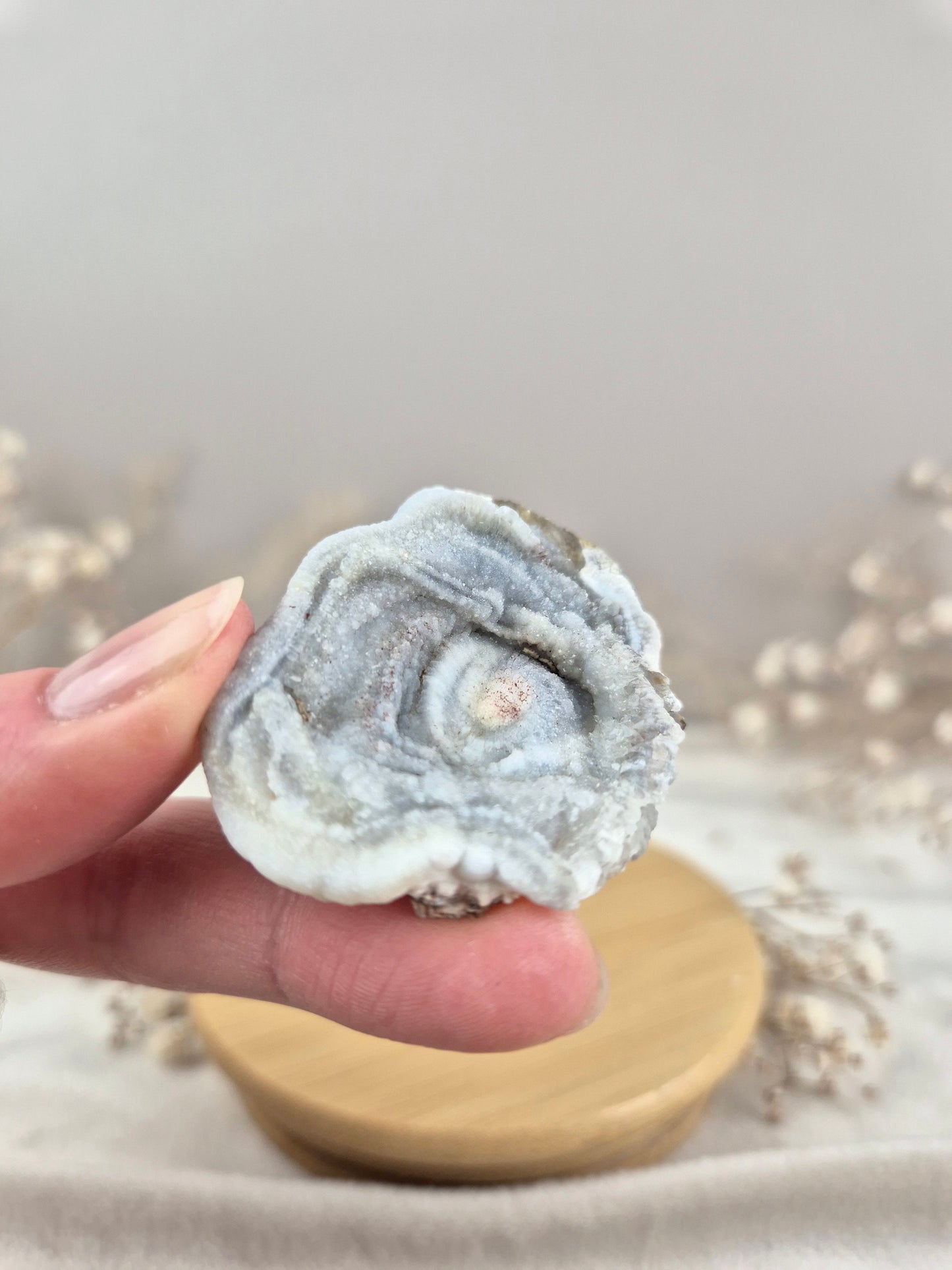 Chalcedon Rose (3)