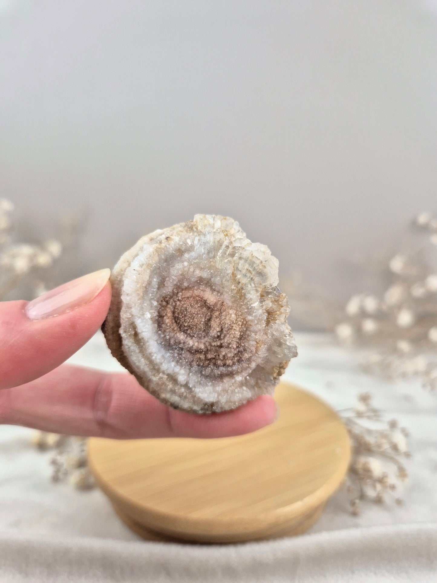 Chalcedon Rose (4)
