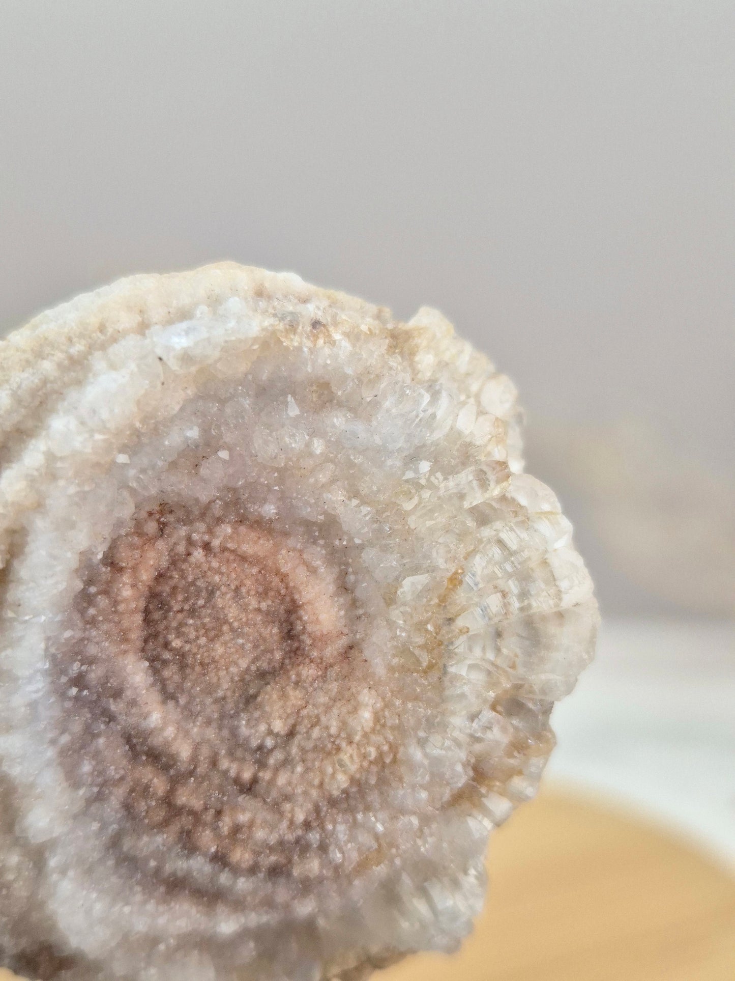 Chalcedon Rose (4)